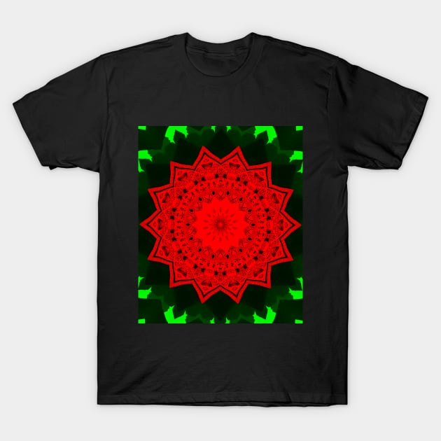 Kaleidoscope in christmas star, colors of red and green. Happy christmas T-Shirt by Pink Dessert